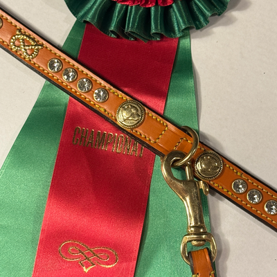 Staffordshire Bull Terrier 1935® Utställningshalsband & Koppel Set - Diamond - Konjak & Guld