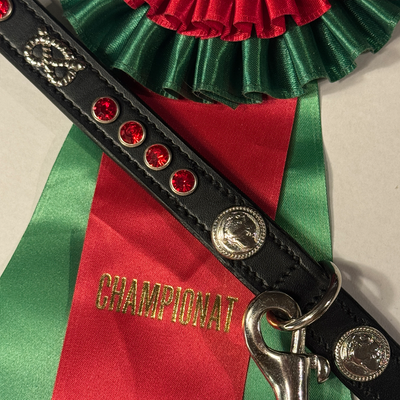 Staffordshire Bull Terrier 1935® Utställningshalsband & Koppel Set - Rubiner - Svart & Silver