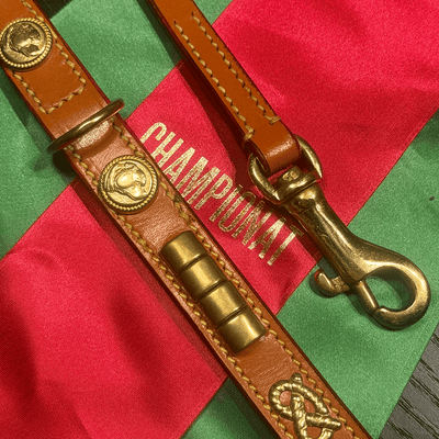 Staffordshire Bull Terrier 1935® Show Collar & Leash Set - Eik's Champion Edition - Cognac & Gold