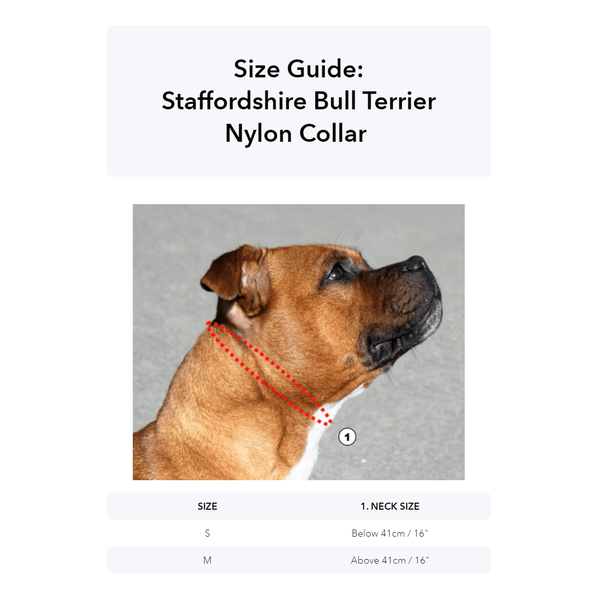 Padded Nylon Collar Staffordshire Bull Terrier® - Size Guide