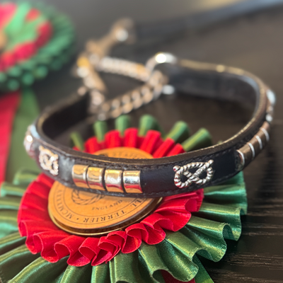 Staffordshire Bull Terrier 1935® Show Half Check Collar & Leash Set - Champion - Black & Silver