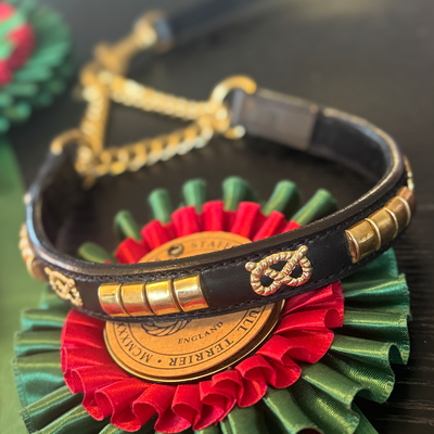 Staffordshire Bull Terrier 1935® Show Half Check Collar & Leash Set - Champion - Black & Gold