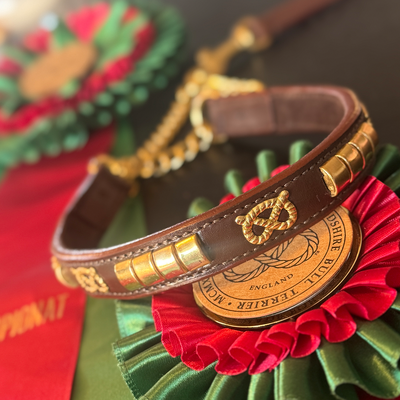 Staffordshire Bull Terrier 1935® Show Half Check Collar & Leash Set - Champion - Brown & Gold