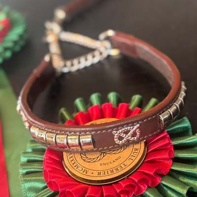 Staffordshire Bull Terrier 1935® Show Half Check Collar & Leash Set - Champion - Brown & Silver