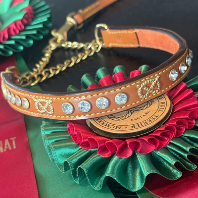 Staffordshire Bull Terrier 1935® Show Half Check Collar & Leash Set - Diamond - Cognac & Gold