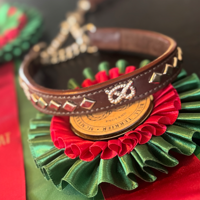 Staffordshire Bull Terrier 1935® Show Half Check Collar & Leash Set - Victory - Brown & Silver