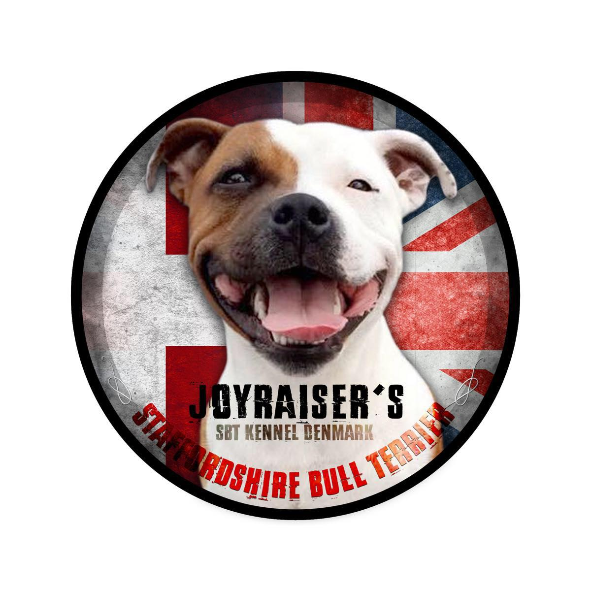 Staffordshire Bull Terrier Breeder Joyraiser's Denmark