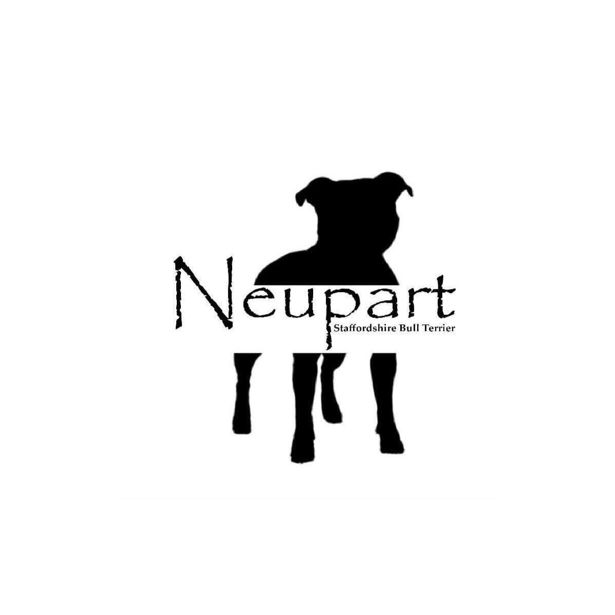 Staffordshire Bull Terrier Breeder Neupart Staffs Denmark