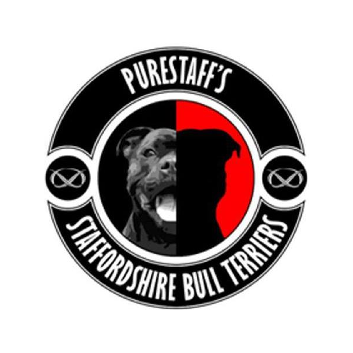 Staffordshire Bull Terrier Breeder Kennel Purestaffs Denmark