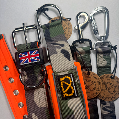 Staffordshire Bull Terrier 1935® Nylonhalsband - Klassisk Camo & Neonorange