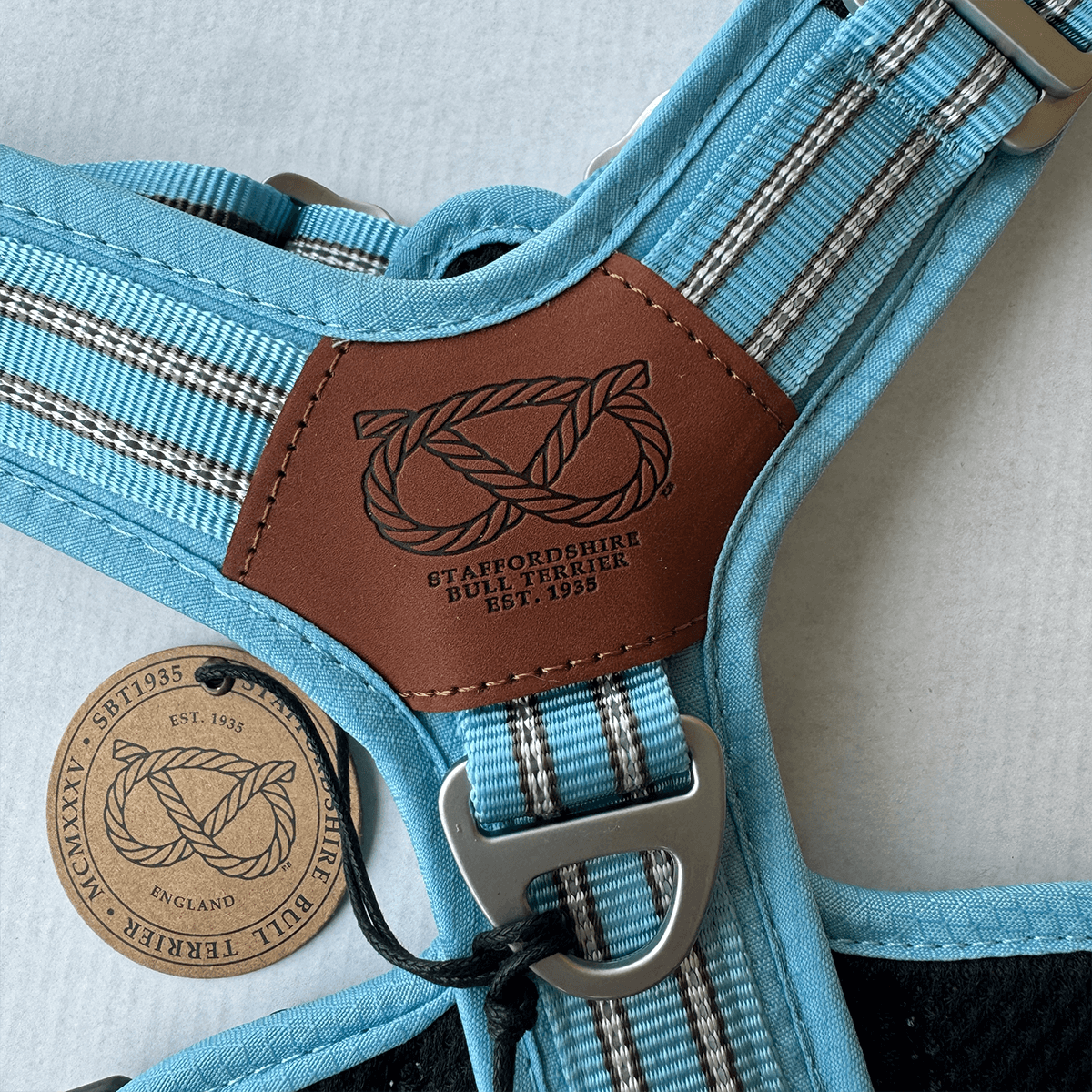 Staffordshire Bull Terrier 1935® Harness & Leash Set - Stanley Edition - Baby Blue