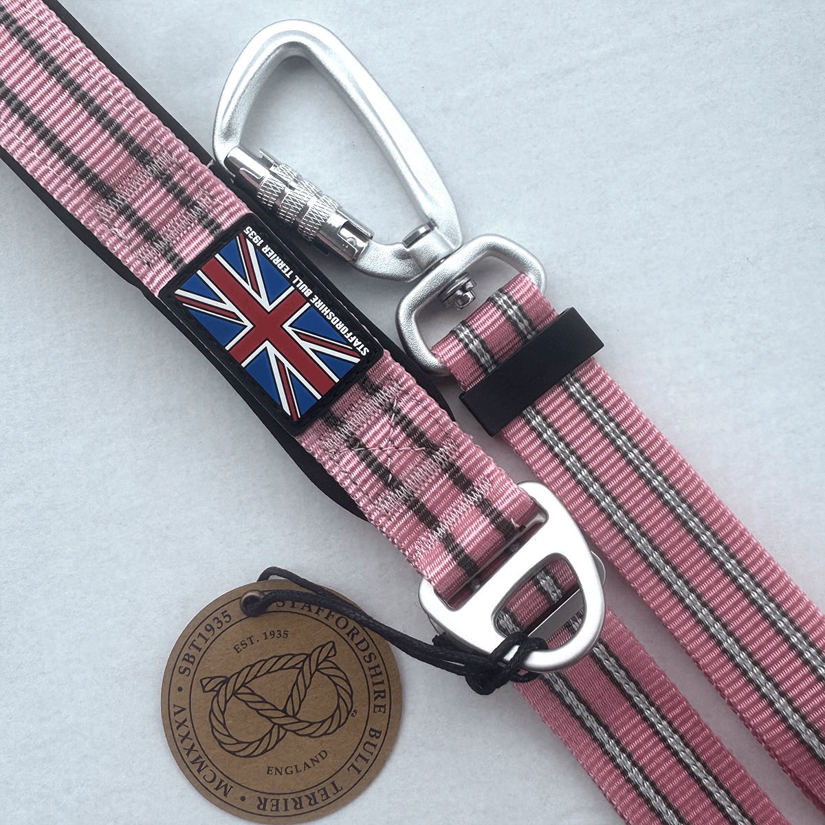 staffordshire bull terrier harness