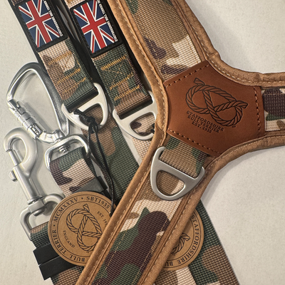 Staffordshire Bull Terrier 1935® Harness & Leash Set - Sand Camo