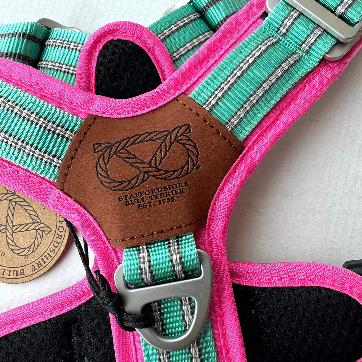 Staffordshire Bull Terrier 1935® Harness & Leash Set - Maya & Bonnie Edition -  Mint Flamingo