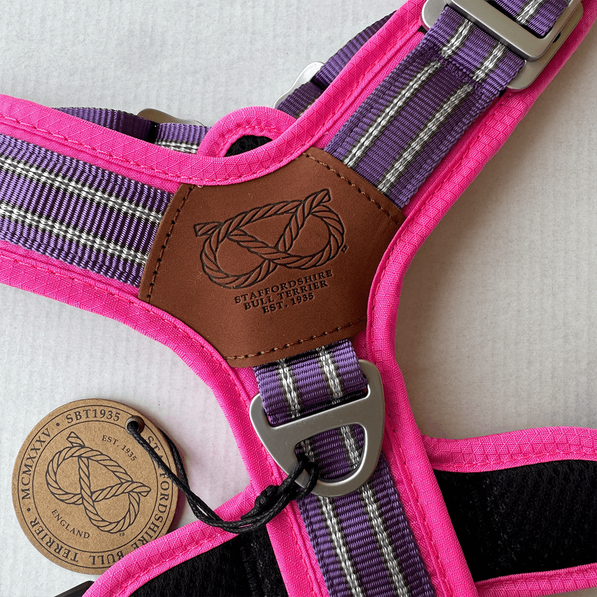 Close up 1 Harness for Staffordshire Bull Terrier Purple & Pink