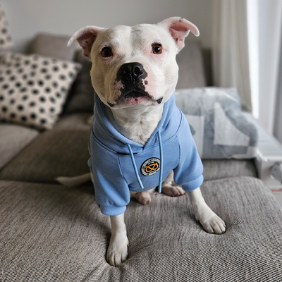 Staffordshire Bull Terrier 1935® Hoodies - Baby Blue