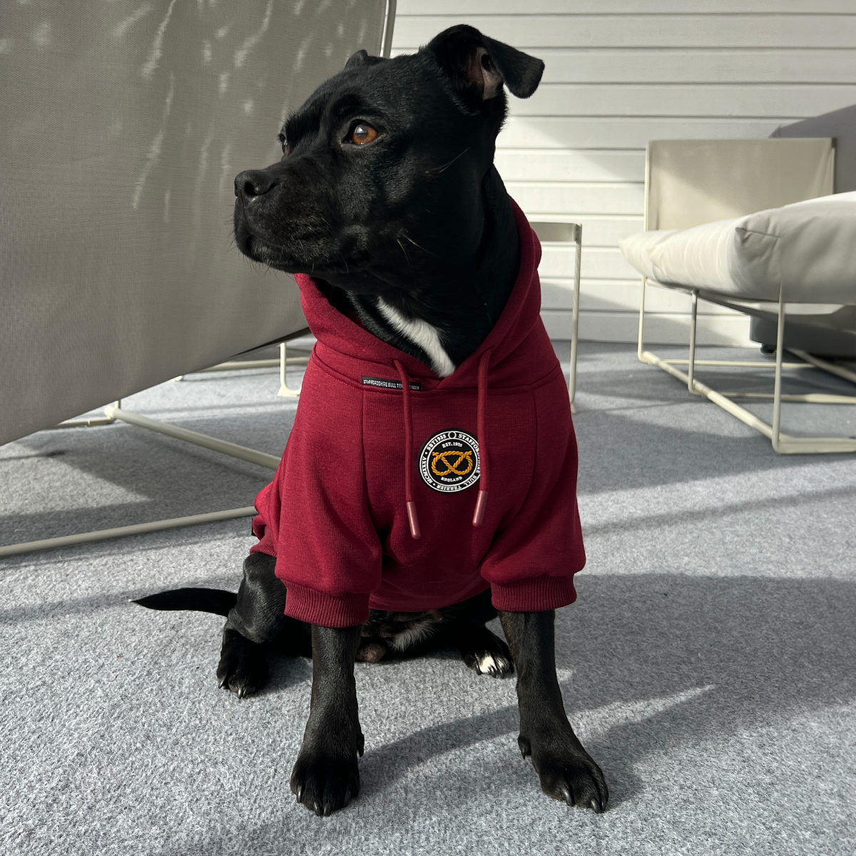 Staffordshire Bull Terrier 1935® Hoodies - Burgundy