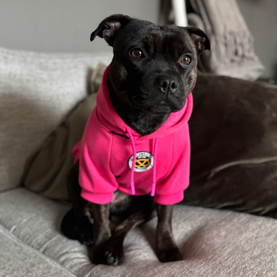 Staffordshire Bull Terrier 1935® Hoodies - Fuchsia