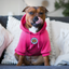 Staffordshire Bull Terrier 1935® Hoodies - Fuchsia