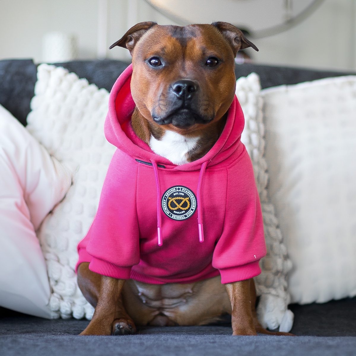 Staffordshire Bull Terrier 1935® Hoodies - Fuchsia