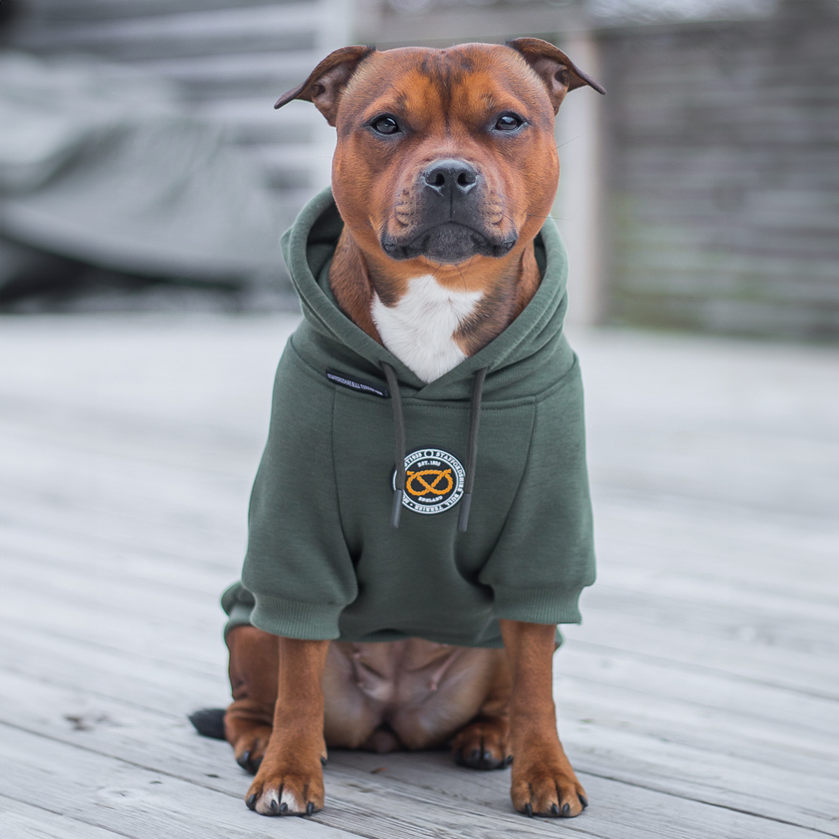 Staffordshire Bull Terrier 1935® Hoodies - Green