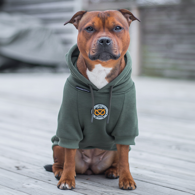 Staffordshire Bullterrier 1935® Hoodies - Grön