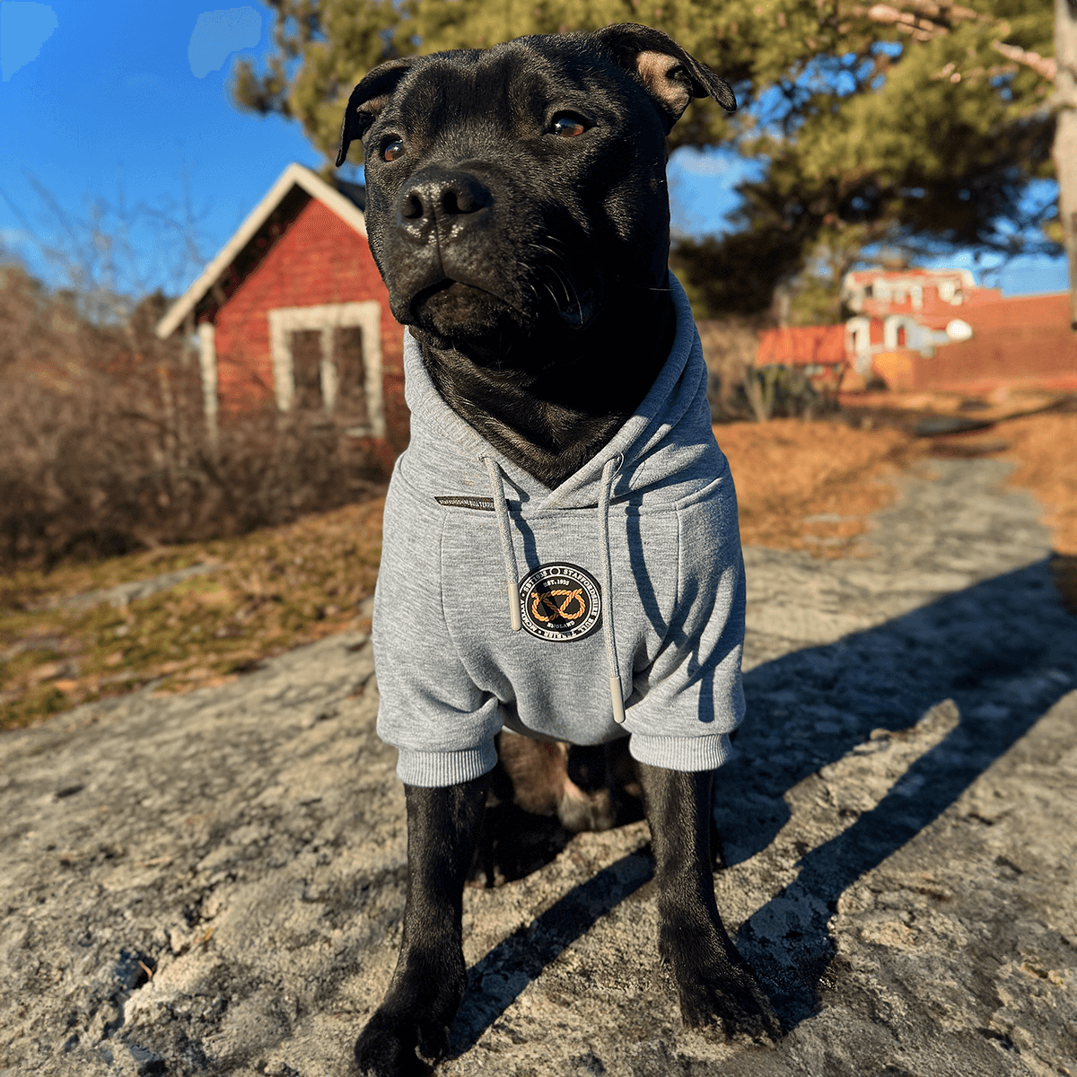 Staffordshire Bullterrier 1935® Hoodies - Grå