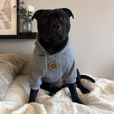 Staffordshire Bull Terrier 1935® Hoodies - Grey