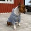 Staffordshire Bull Terrier 1935® Sweats à capuche - Gris