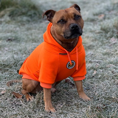 Staffordshire Bull Terrier 1935® Hoodies - Orange