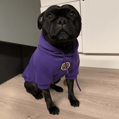 Staffordshire Bull Terrier 1935® Hoodies - Dark Purple