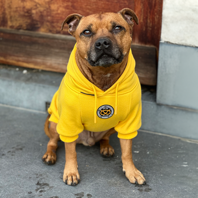 Staffordshire Bull Terrier 1935® Hoodies - Yellow