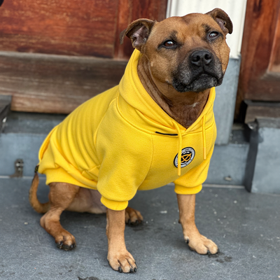 Staffordshire Bull Terrier 1935® Hoodies - Yellow