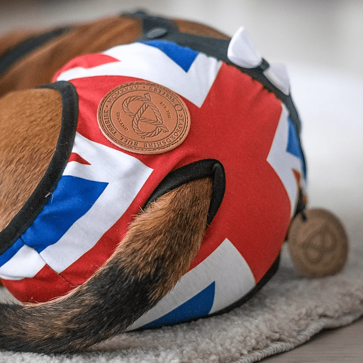 staffordshirebullterrier-hygiene-panties-unionjack-1.png