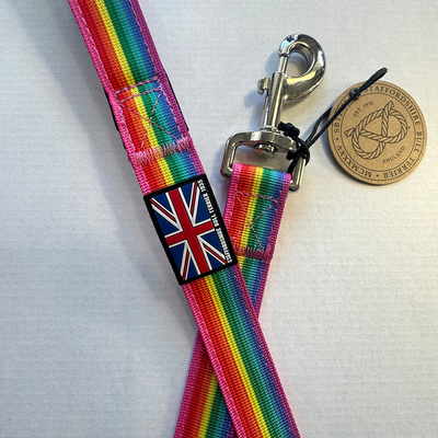 Staffordshire Bull Terrier 1935® Nylon Leash - Rainbow Edition - Normal