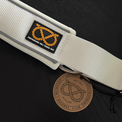 Staffordshire Bull Terrier 1935® Collier Martingale - Blanc