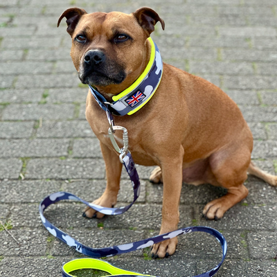 Staffordshire Bull Terrier 1935® Collier Martingale - Nuit Camo & Jaune Fluo