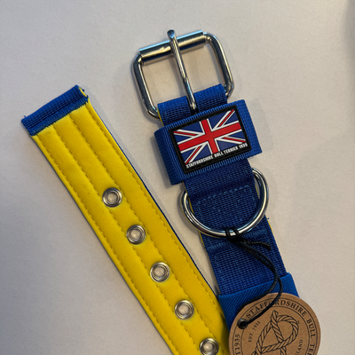 Staffordshire Bull Terrier 1935® Collier Nylon - Bleu Royal et Jaune