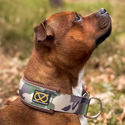 Staffordshire Bull Terrier 1935® Collier Martingale - Classique Camo et Marron
