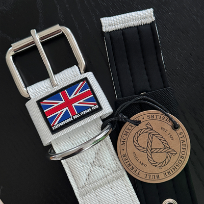 Staffordshire Bull Terrier 1935® Collier Nylon - Blanc