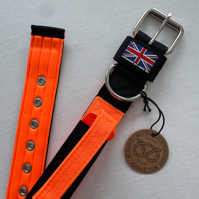 Staffordshire Bull Terrier 1935® Nylonhalsband med handtag - Ronnie Edition - Svart & Neonorange