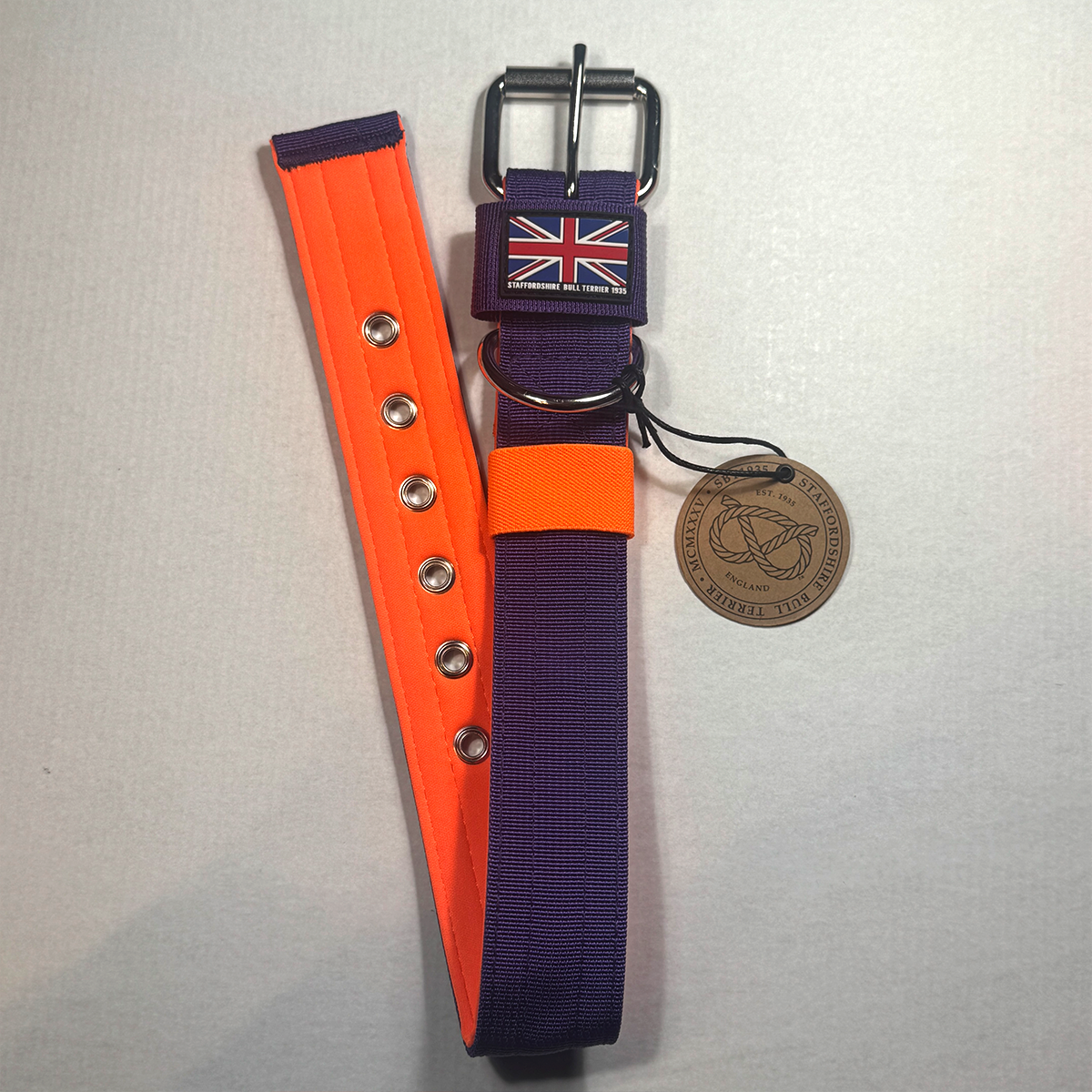 Staffordshire Bull Terrier 1935® Nylon Collar - Dark Purple & Neon Orange