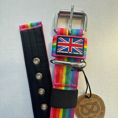 Staffordshire Bull Terrier 1935® Nylonhalsband - Rainbow Edition