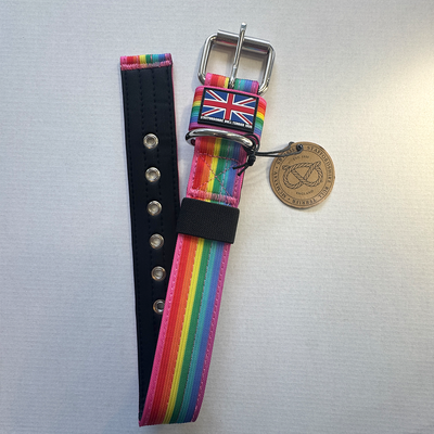 Staffordshire Bull Terrier 1935® Nylonhalsband - Rainbow Edition