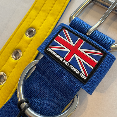 Staffordshire Bull Terrier 1935® Collier Nylon - Bleu Royal et Jaune