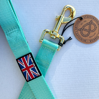 Staffordshire Bull Terrier 1935® Nylon Leash - Ayla's Staffany Edition - Normal