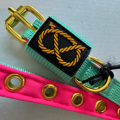 Staffordshire Bull Terrier 1935® Valphalsband & Koppel Set - Mint Flamingo med Guld