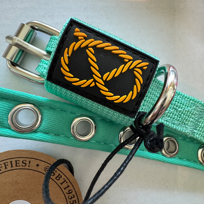 Staffordshire Bull Terrier 1935® Valphalsband & Koppel Set - Turkos