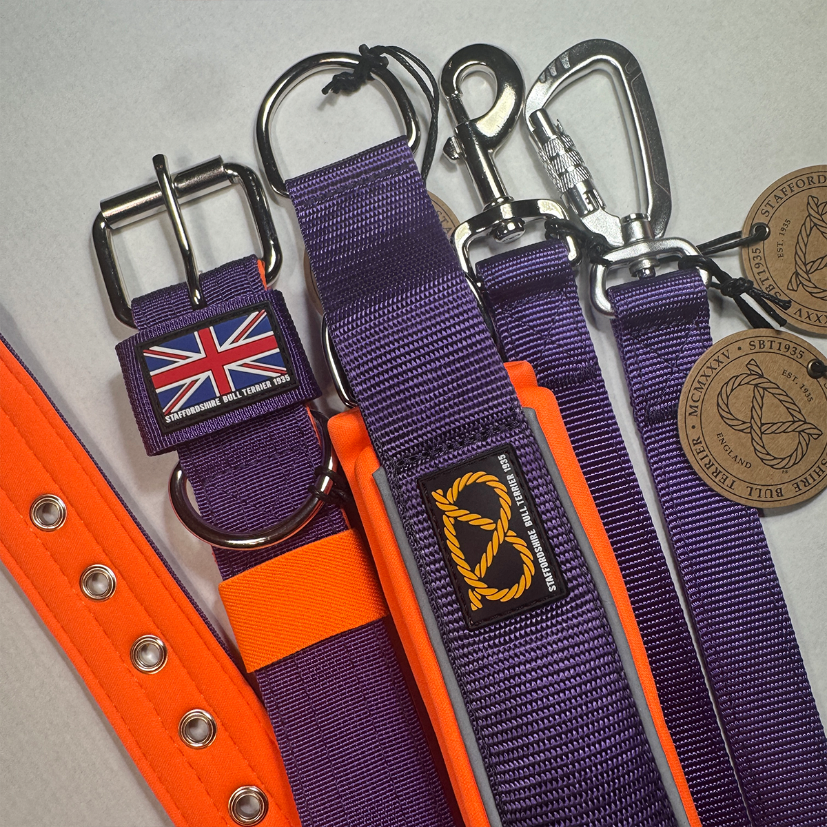 Staffordshire Bull Terrier 1935® Martingale Collar - Dark Purple & Neon Orange