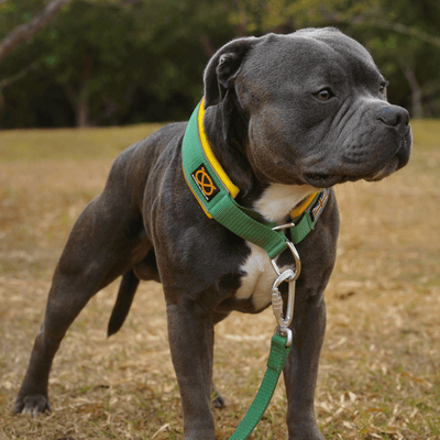 Staffordshire Bull Terrier 1935® Nylonkoppel - Venom Edition - Tallgrön & Gul - Karbinhake